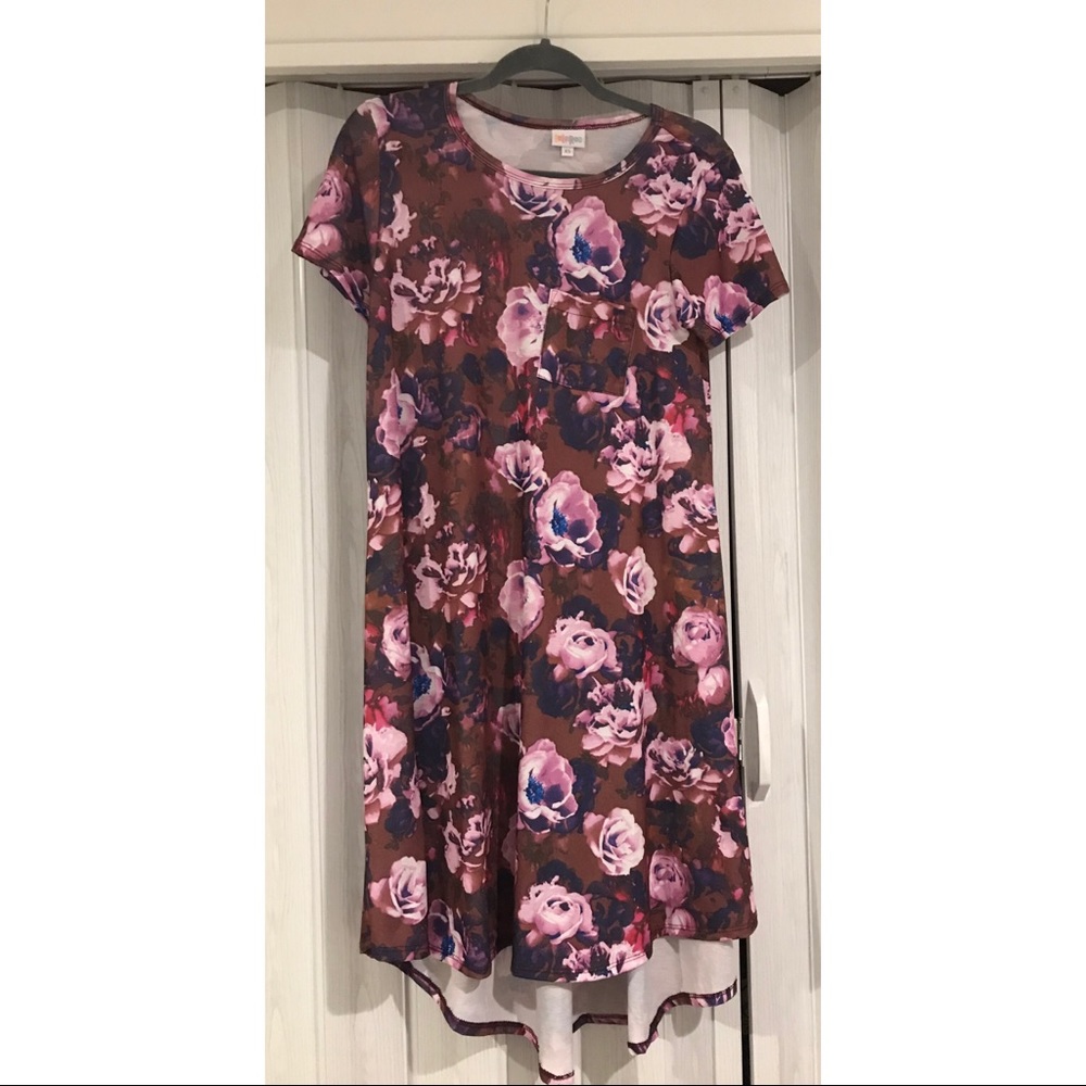 Never Worn LuLaRoe Carly Dress
